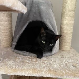 Meet your Posher, Kaitlin